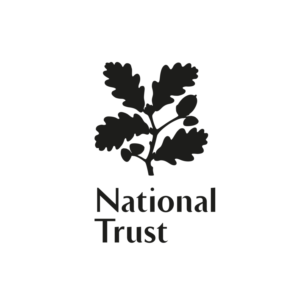 Trust 10 trail run in Comer Woods